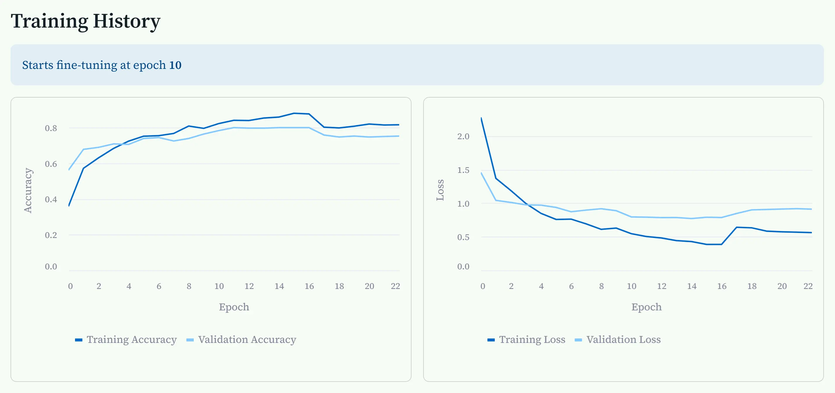 Training progress visualization showing model accuracy and loss curves over epochs